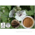 100% Nature Althea Root Extract